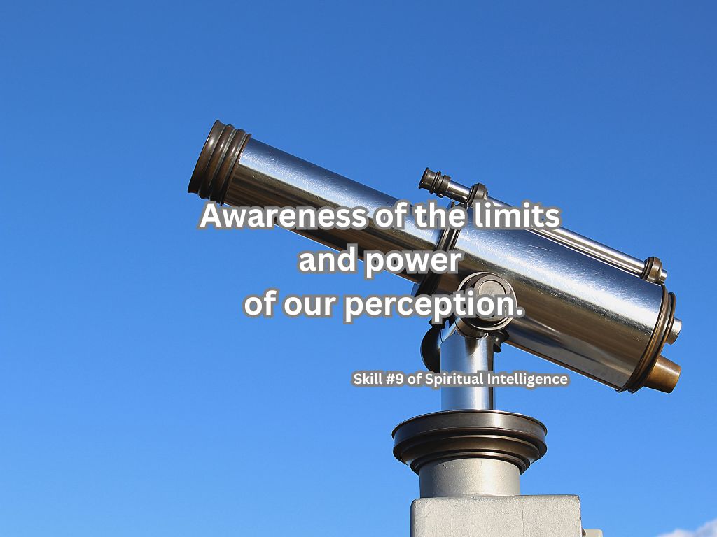 Skill-9-Awareness-of-the-limits-and-power-of-our-perception.-Spiritual-Intelligence